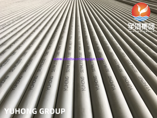 ASME SA213 TP304/304L 1.4301/1.4307 স্টেইনলেস স্টীল seamless তাপ এক্সচেঞ্জার টিউব