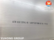 ASTM A240 TP904L SS904L স্টেইনলেস স্টীল প্লেট / স্ট্রিপ / শীট / কয়েল