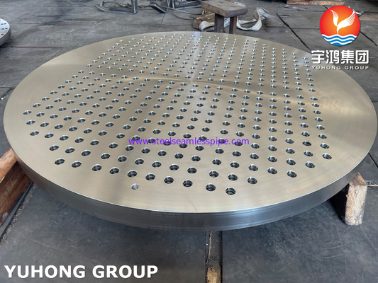 ASTM A182 F316 টিউব শীট বড় ব্যাসাকার স্টেইনলেস স্টীল গরম এক্সচেঞ্জার উপাদান জন্য forged