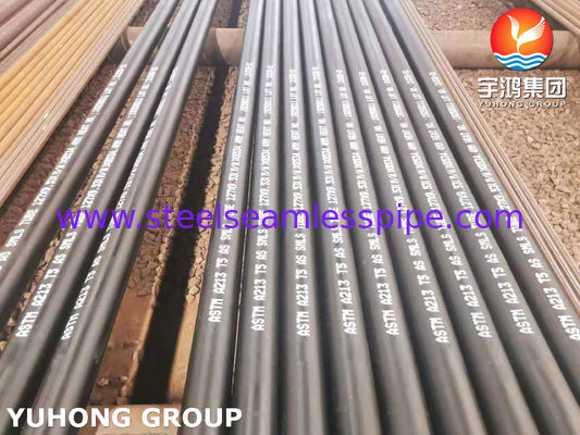 ASTM A213 T5 15Mo3 ক্রোমিয়াম-মলিবডেনম অ্যালোয় স্টিল সিউমলেস বয়লার টিউব গরম সমাপ্ত