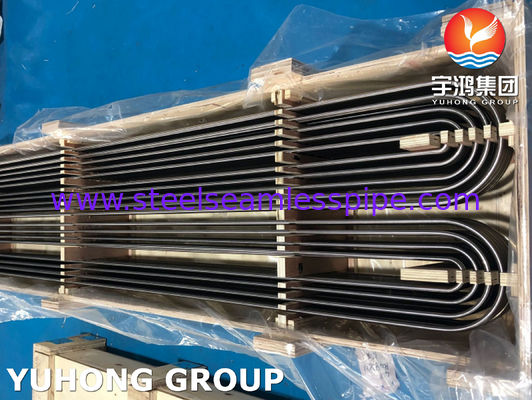 ASTM A270 TP316L স্যানিটারি স্টেইনলেস স্টিল সিমলেস পাইপ ইউ বেন্ড দুগ্ধ এবং খাদ্য শিল্পের জন্য