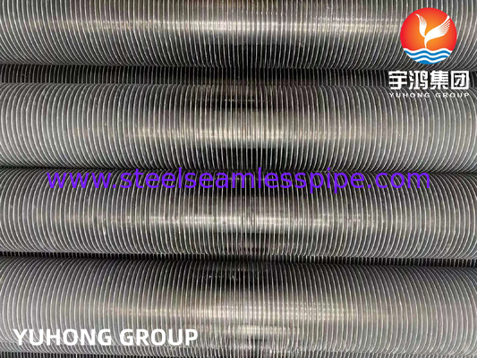 ASTM A269 TP304L স্টেইনলেস স্টীল ক্যালডারের জন্য এক্সট্রুজড ফিন টিউব