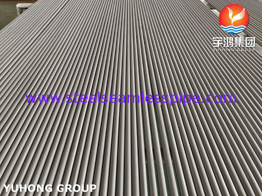 ASTM A268 TP410 / UNS S41000 / EN 1.4006 ফেরিটিক স্টেইনলেস স্টীল বিজোড় টিউব