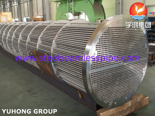 ASME SA213 TP316L শেল এবং টিউব তাপ এক্সচেঞ্জার মধ্যে সোজা টিউব bundle