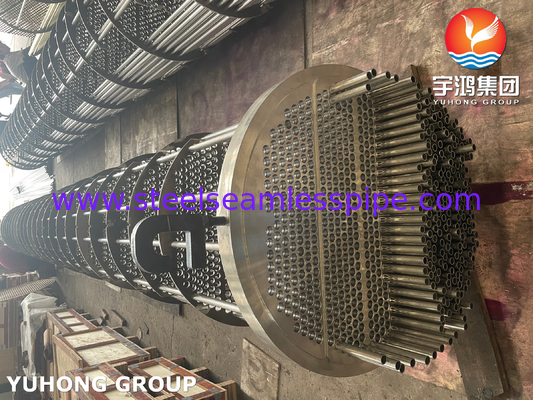 ASME SA213 TP316L শেল এবং টিউব তাপ এক্সচেঞ্জার মধ্যে সোজা টিউব bundle