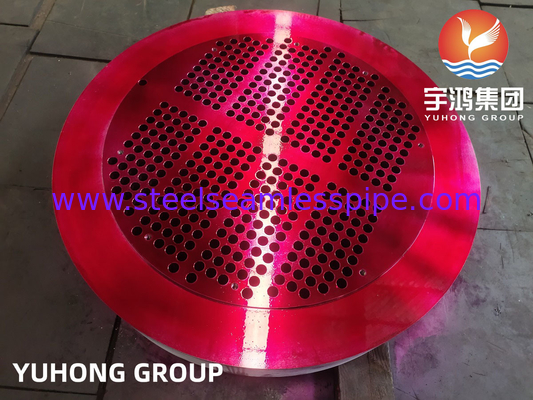 ASTM A182 F304, 304L, SUS304 স্টেইনলেস স্টীল টিউব শীট তাপ এক্সচেঞ্জার জন্য
