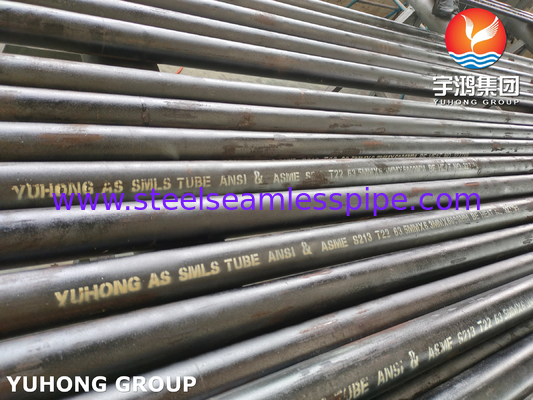 ASME SA213 গ্রেড T22 অ্যালগরি স্টীল সিউমলেস টিউব বয়লার টিউব তাপ এক্সচেঞ্জার টিউব