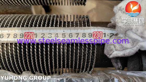ASME SA335 P9 11CR গরম স্থানান্তর জন্য অ্যালগরি স্টীল Serrated ফিন টিউব