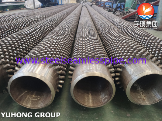 ASTM A213 বেস টিউব T9 11Cr স্টাফড ফিন স্টাফড ফিনড টিউব স্টিম রিফর্মিং ফার্মের জন্য