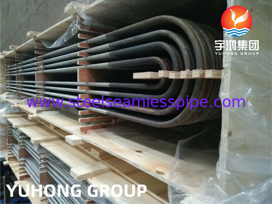 ASME SA213 TP904L UNS NO8904 স্টেইনলেস স্টীল U Bend Tube 19.05 MM X 1.65 MM তাপ এক্সচেঞ্জারের জন্য