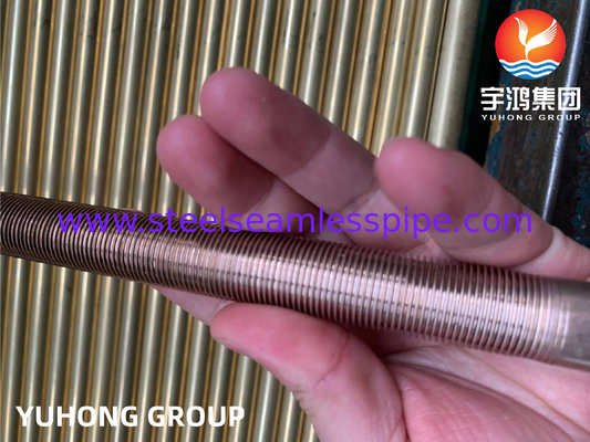 ASTM B111 C70600-O61 তামা নিকেল একক ইস্পাত নিম্ন ফিনিং টিউব