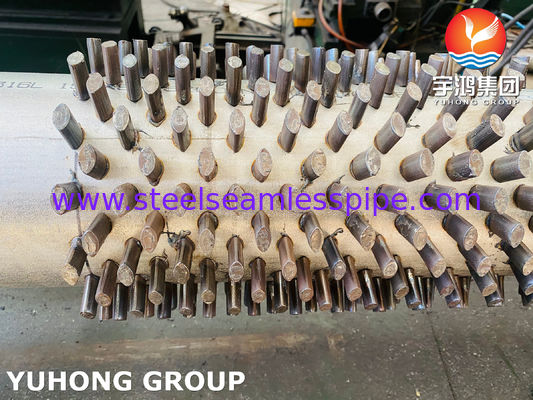 এএসটিএম এ৩১২ টিপি৩১৬এল ক্ষয় প্রতিরোধী তাপ বিনিময় ব্যবস্থার জন্য উচ্চতা কাস্টমাইজযোগ্য স্টাফড ফিনিড টিউব