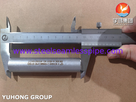 ASME B36.10 পাইপ নিপল ASTM A790 UNS S31803 সিউমলেস ডুপ্লেক্স স্টিল নিপল