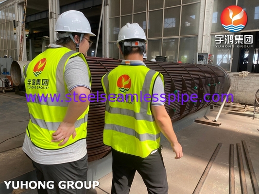 তাপ এক্সচেঞ্জার টিউব বান্ডেল D-E1 A ASME SA213 T11 U Bend Tube With ASME SA-516 GR.70 (N, FGP) টিউব শীট ASME U STAMP