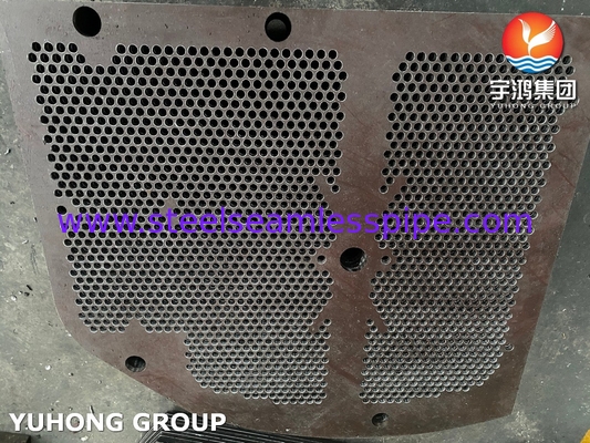 তাপ এক্সচেঞ্জার বাফেল, সমর্থন প্লেট, ASME SA516 GR।70, NACE MR-০১৭৫, MR-০১০৩