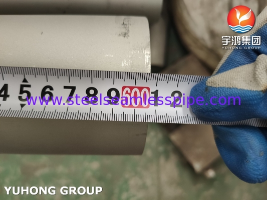 স্টেইনলেস স্টীল সিউমলেস পাইপ EN 10216-5 D2/T1 1.4404 TP316L তেল এবং গ্যাসের জন্য