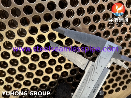 ASTM B171 C46400 তাপ এক্সচেঞ্জার এবং বয়লারের জন্য নৌবাহিনীর ব্রাস টিউব শীট
