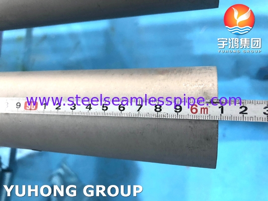 ASTM A789 UNS S32205 রাসায়নিক শিল্পের জন্য ডুপ্লেক্স স্টিলের সিউমলেস টিউব