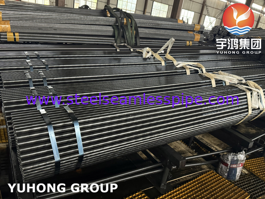 EN 10216-2 13CrMo4-5 1.7335 উচ্চ তাপমাত্রায় পারফরম্যান্সের জন্য সিউমলেস বয়লার টিউব