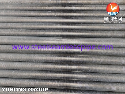 ASTM269 TP304 সিউমলেস টিউব স্টেইনলেস স্টীল এক্সট্রুজড ফিন টিউব হিট এক্সচেঞ্জারের জন্য