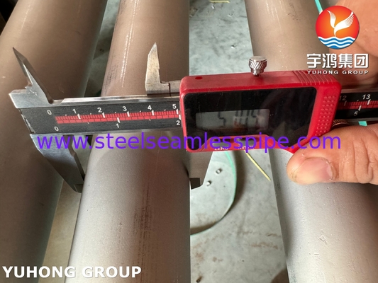 ASME SA213 TP316L স্টেইনলেস স্টীল সিউমলেস টিউবস ফর পাওয়ার প্ল্যান্ট অ্যাপ্লিকেশন