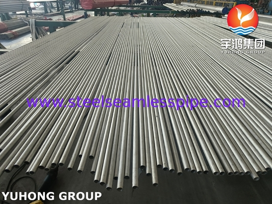 স্টেইনলেস স্টীল সিউমলেস 310H টিউব ASME SA213 HRSG অ্যাপ্লিকেশন জন্য