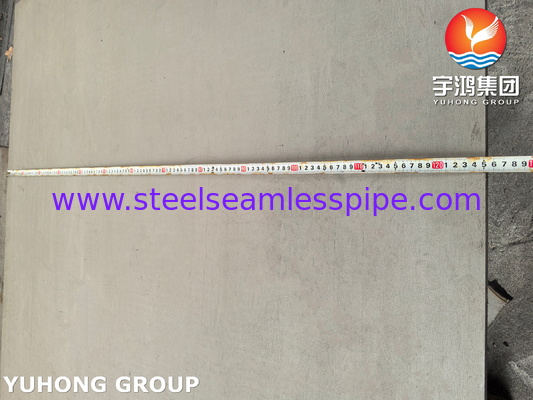 ASTM A240 SS316L 1.4404 S31603 তেল ও গ্যাসের জন্য স্টেইনলেস স্টিল প্লেট