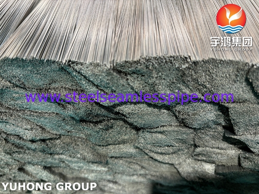 SUS304 SUS316 মেডিকেল যন্ত্রপাতি জন্য উজ্জ্বল Annealed স্টেইনলেস স্টীল ক্যাপিলারি টিউব
