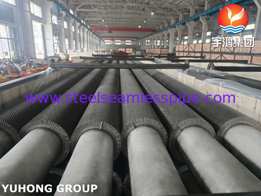 TP304H HFW ফিন টিউব Serrated টাইপ ASTM A312 জন্য HRSG তাপ পুনরুদ্ধার বাষ্প সিস্টেম