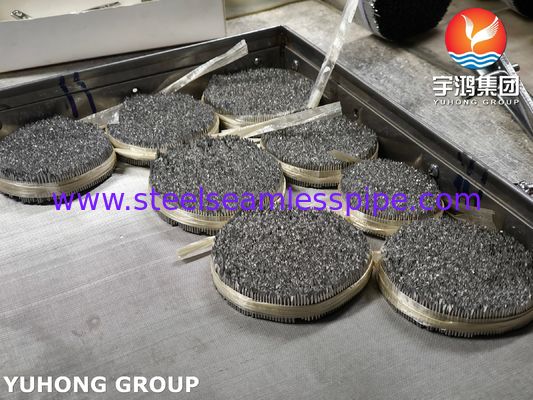 স্টেইনলেস স্টীল ইনজেকশন ইগল টিউব, SUS304 16G পশু যত্নের জন্য পশুচিকিত্সা ইগল