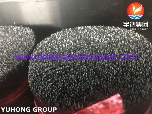 ISO7864 SUS304 ইনজেকশন ইগল টিউব, বেভেলড টিপ, মেডিকেল হাইপডার্মিক ইগল