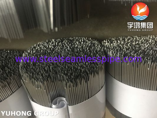 ISO7864 SUS304 ইনজেকশন ইগল টিউব, বেভেলড টিপ, মেডিকেল হাইপডার্মিক ইগল