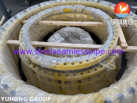 তাপ এক্সচেঞ্জার পার্টস SA-266M Gr.2 পরীক্ষার রিং, শেল SA-516M Gr.70