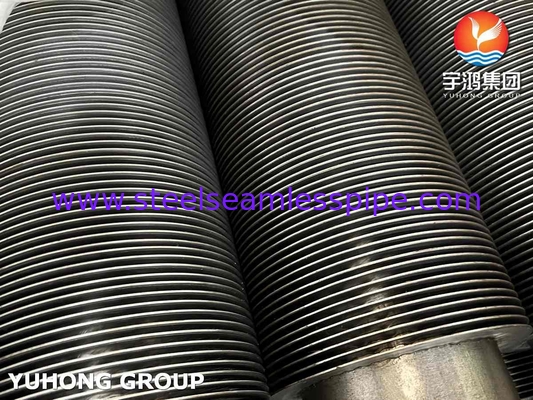 HFW ASTM A213 T9 11Cr কনভেকশন টিউব কয়েল অ্যাপ্লিকেশন সহ অ্যালোয় স্টীল সিউমলেস টিউব