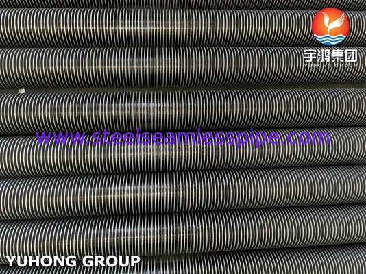 HFW ASTM A213 T9 11Cr কনভেকশন টিউব কয়েল অ্যাপ্লিকেশন সহ অ্যালোয় স্টীল সিউমলেস টিউব