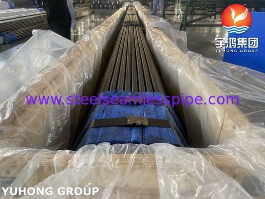 ASTM A179 / ASME SA179 তাপ এক্সচেঞ্জার এবং বয়লার অ্যাপ্লিকেশনের জন্য কার্বন ইস্পাত টিউব