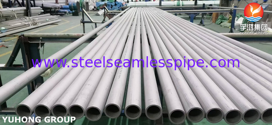 ASME SA213 TP347H সুপারহিটার এবং এয়ার হিটারের জন্য স্টেইনলেস স্টীল সিউমলেস টিউব