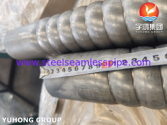 ASTM A312 TP310S গরম এক্সচেঞ্জারের জন্য স্টেইনলেস স্টীল পাইপ টিউব