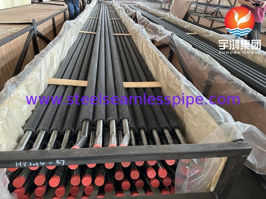 ASME SA213 T22 শোধনাগার প্রকল্পের জন্য খাদ ইস্পাত HFW Serrated Fined টিউব
