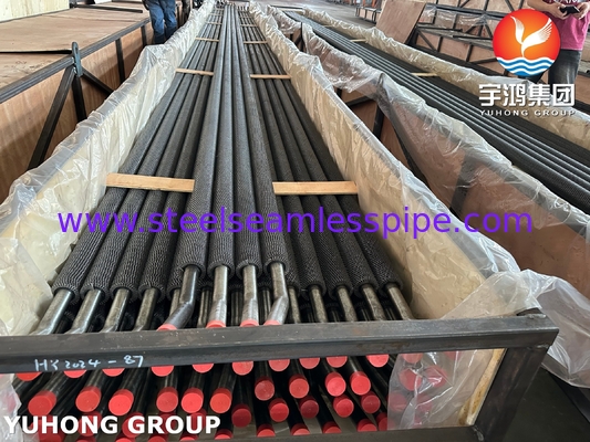 ASME SA213 T22 গরম এক্সচেঞ্জার এবং এয়ার কুলারের জন্য টিউব সহ Serrated Fin