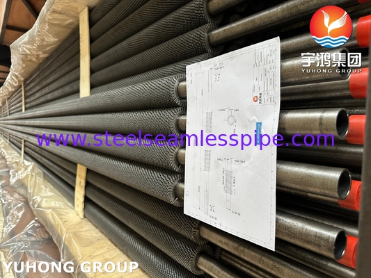 ASTM A213/ ASME SA213 T22 HFW করাতের দাঁতযুক্ত ফিন টিউব দুটি পোর্ট তাপ পুনরুদ্ধার বাষ্প জেনারেটরের জন্য ইউ-বাঁকানো যেতে পারে