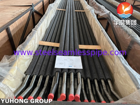 ASTM A213/ ASME SA213 T22 HFW করাতের দাঁতযুক্ত ফিন টিউব দুটি পোর্ট তাপ পুনরুদ্ধার বাষ্প জেনারেটরের জন্য ইউ-বাঁকানো যেতে পারে