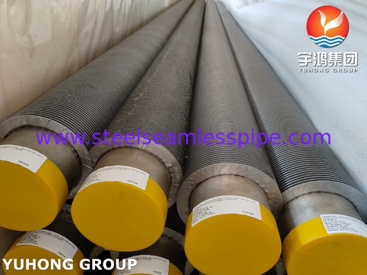 ASTM A376 TP347H তাপ এক্সচেঞ্জার এবং বয়লারের জন্য সলিড ফিন টিউব