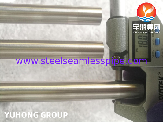 ASME SA213 TP321 ফুড অ্যান্ড ফার্মাসিউটিক্যাল ইন্ডাস্ট্রিতে উচ্চ তাপমাত্রার জন্য উজ্জ্বল টিউব BA
