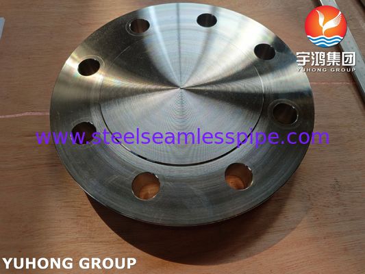 ASTM B462 Nickel Alloy UNS N10276 Blind Flange Hastelloy C276 BLRF Flange