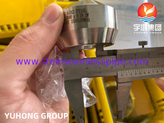 ASTM A182 F316/F316L স্টেইনলেস স্টীল ফিটিং ওয়েলডোলেট BW MSS-SP-97