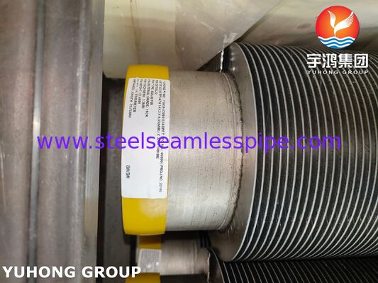 হাই ফ্রিকোয়েন্সি ওয়েল্ডেড ফিনড টিউব TP347H বেস টিউব এবং সিএস ফিনস