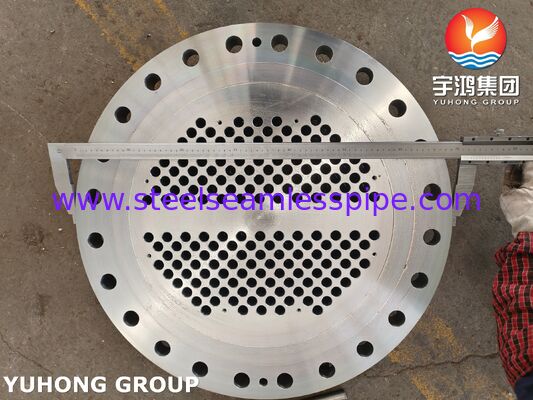 তাপ এক্সচেঞ্জারের জন্য ASME SA266 Gr.2N কার্বন ইস্পাত স্টেশনারি টিউব শীট