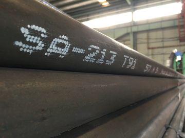 SA213 / A213 অ্যালো স্টিল বিজোড় টিউব T11 T22 T23 T5 T9 T91 তাপ এক্সচেঞ্জার টিউব