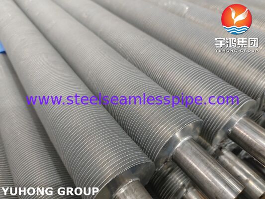 EN 10217-7 1.4301 এয়ার কুলারগুলির জন্য এক্সট্রুডেড ফিন টিউব তাপ পুনরুদ্ধার